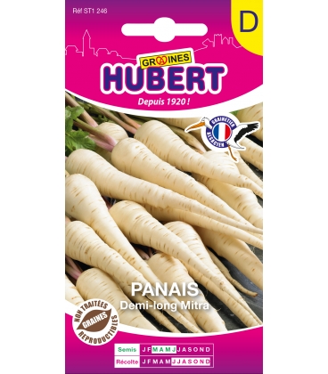 Panais demi-long Mitra