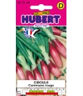 Ciboule Commune Rouge