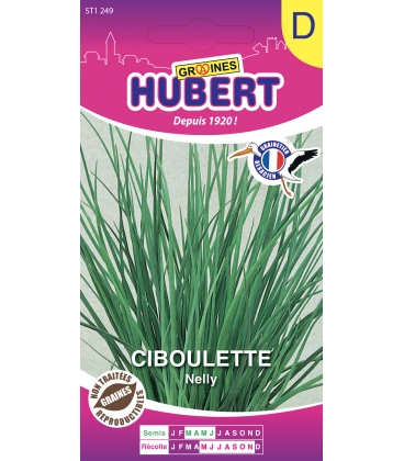 Ciboulette Nelly