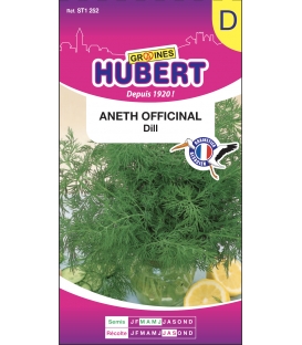 Graines d'Aneth Officinal "DILL"