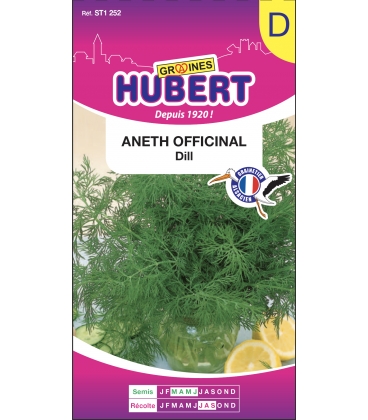 Graines d'Aneth Officinal "DILL"