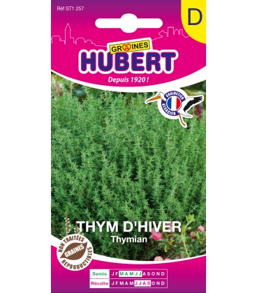 Thym D'Hiver