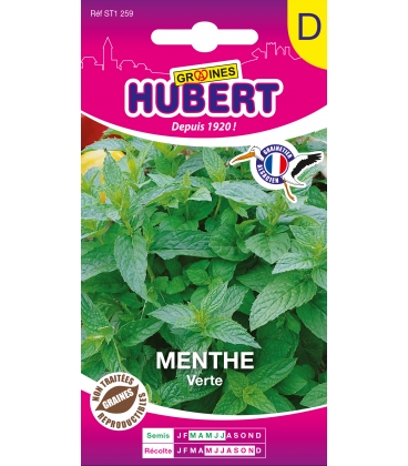 Menthe Verte