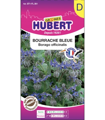 Bourrache Bleue