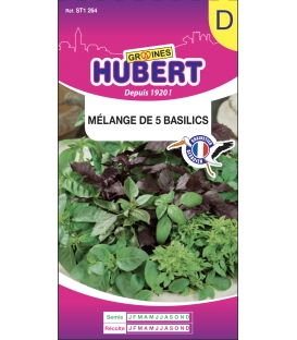Basilic en Mélange 5 variétés