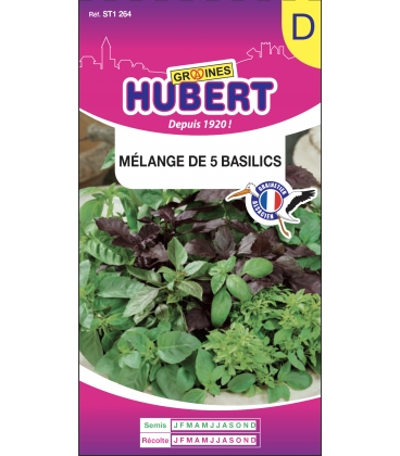 Basilic en M&eacute;lange 5 vari&eacute;t&eacute;s