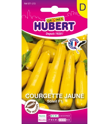 Courgette Jaune Soleil F1