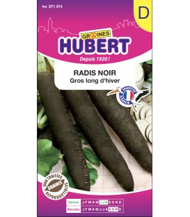 Radis Noir Gros Long d'Hiver
