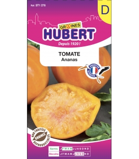 Tomate Ananas