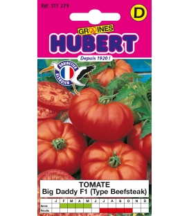 Tomate Big Daddy F1 Type Beefsteak