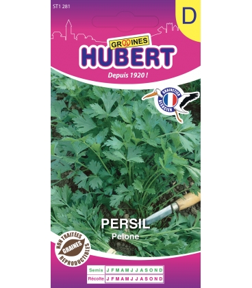 Persil Commun Peione Vert Fonc&eacute;