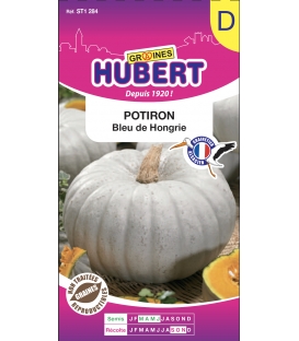 Potiron Bleu de Hongrie Nagydobosi S&uuml;t&ouml;kok &copy; Images prot&eacute;g&eacute;es t&eacute;l&eacute;chargement interdit !