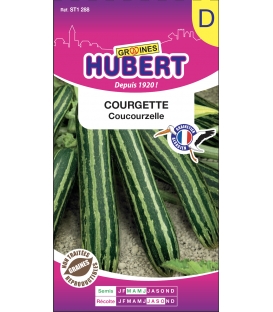 Courgette Coucourzelle &copy; Images Prot&eacute;g&eacute;es t&eacute;l&eacute;chargement interdit !