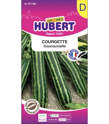 Courgette Coucourzelle