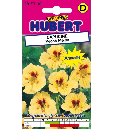 Capucine Peach Melba