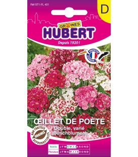 Oeillet de Poète Double Varié Buschblumen