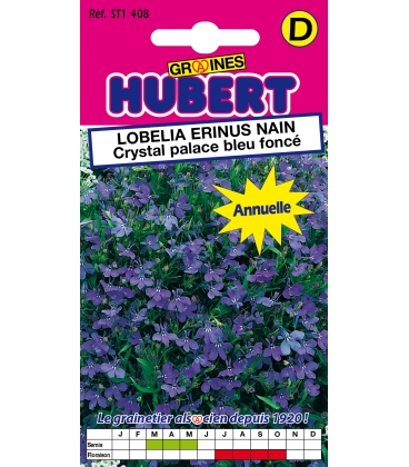 Lobelia Erinus Crytal Palace Nain Compact