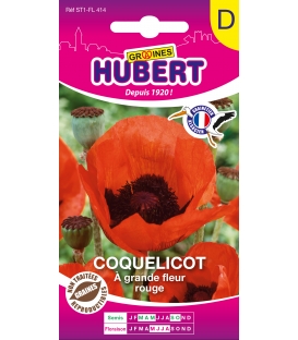 Coquelicot Pavot d'Orient Rouge &copy; Image prot&eacute;g&eacute;e t&eacute;l&eacute;chargement interdit !