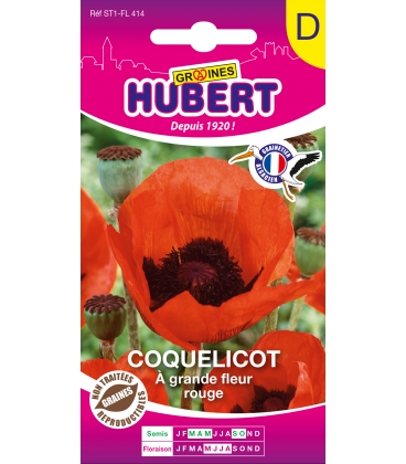 Coquelicot &agrave; Grande Fleur Rouge