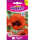 Coquelicot à Grande Fleur Rouge