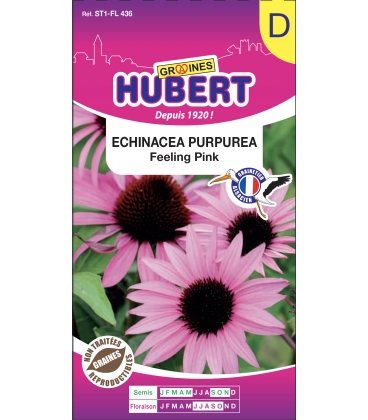 Echinacea Purpurea Feeling Pink - 15 graines
