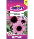 Echinacea Purpurea Feeling Pink - 15 graines