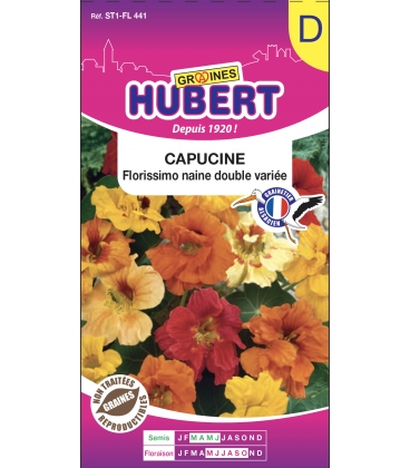 Capucine Florissimo Naine Double