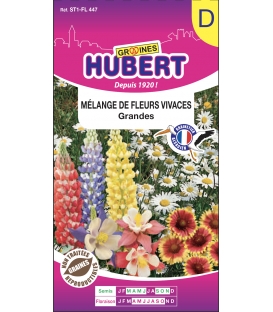 Fleurs Vivaces Grandes