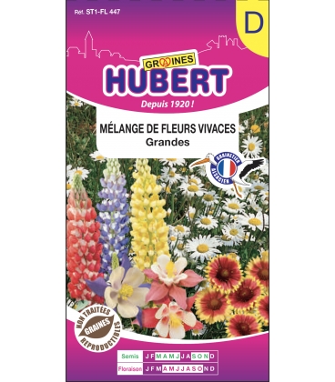 Fleurs Vivaces Grandes