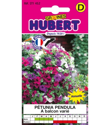 P&eacute;tunia Pendula &agrave; Balcon Vari&eacute;