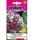 Pétunia Pendula à Balcon Varié © Image protégée téléchargement interdit !
