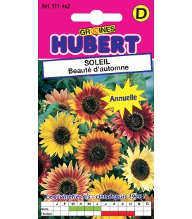 Soleil Beauté d'Automne