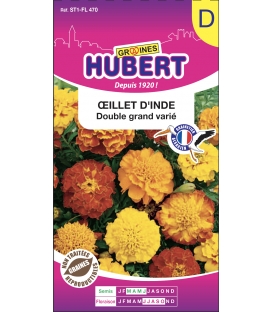 Oeillet d'Inde Double Grand Varié