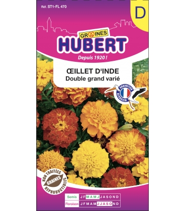 Oeillet d'Inde Double Grand Vari&eacute;