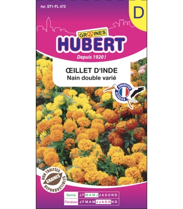 Graines d'Oeillet d'Inde Nain Double Vari&eacute; - Tagetes