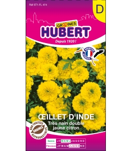 Oeillet d'Inde Très Nain Double Jaune Citron