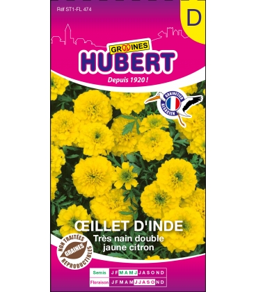 Oeillet d'Inde Tr&egrave;s Nain Double Jaune Citron