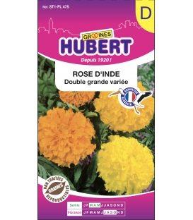 Rose d'Inde Double Grande Variée