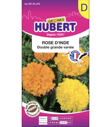 Rose d'Inde Double Grande Vari&eacute;e