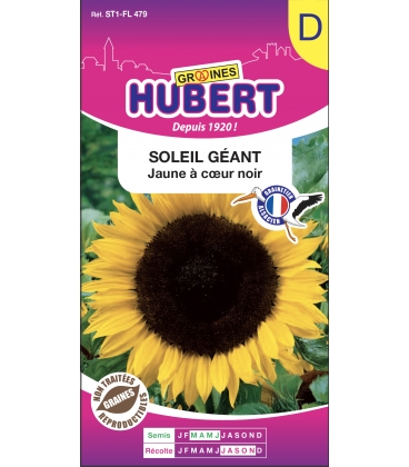 Soleil G&eacute;ant Simple Jaune d'Or