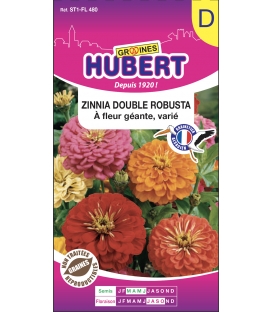 Zinnia Double Robusta &agrave; Fleur G&eacute;ante Vari&eacute; &copy; Image prot&eacute;g&eacute;e t&eacute;l&eacute;chargement interdit !