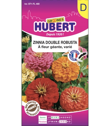 Zinnia Double Robusta &agrave; Fleur G&eacute;ante Vari&eacute;