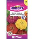 Zinnia Double Géant de Californie Varié