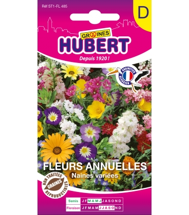 Fleurs Annuelles Naines Vari&eacute;es