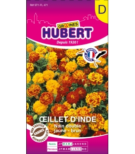 Oeillet d'Inde Nain Double Jaune-Brun