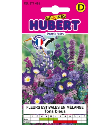 Fleurs pour Bouquets Bleus Pour 1 m2