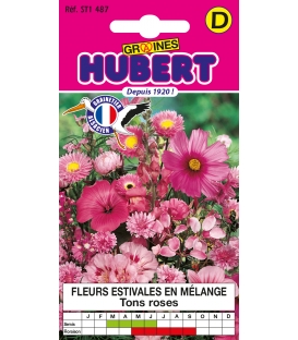 Fleurs pour Bouquets Roses