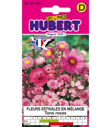 Fleurs pour Bouquets Roses