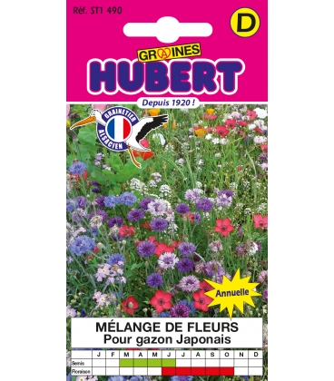 Fleurs pour Gazon Japonais