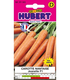 Carotte Jeanette F1 - Nantaise